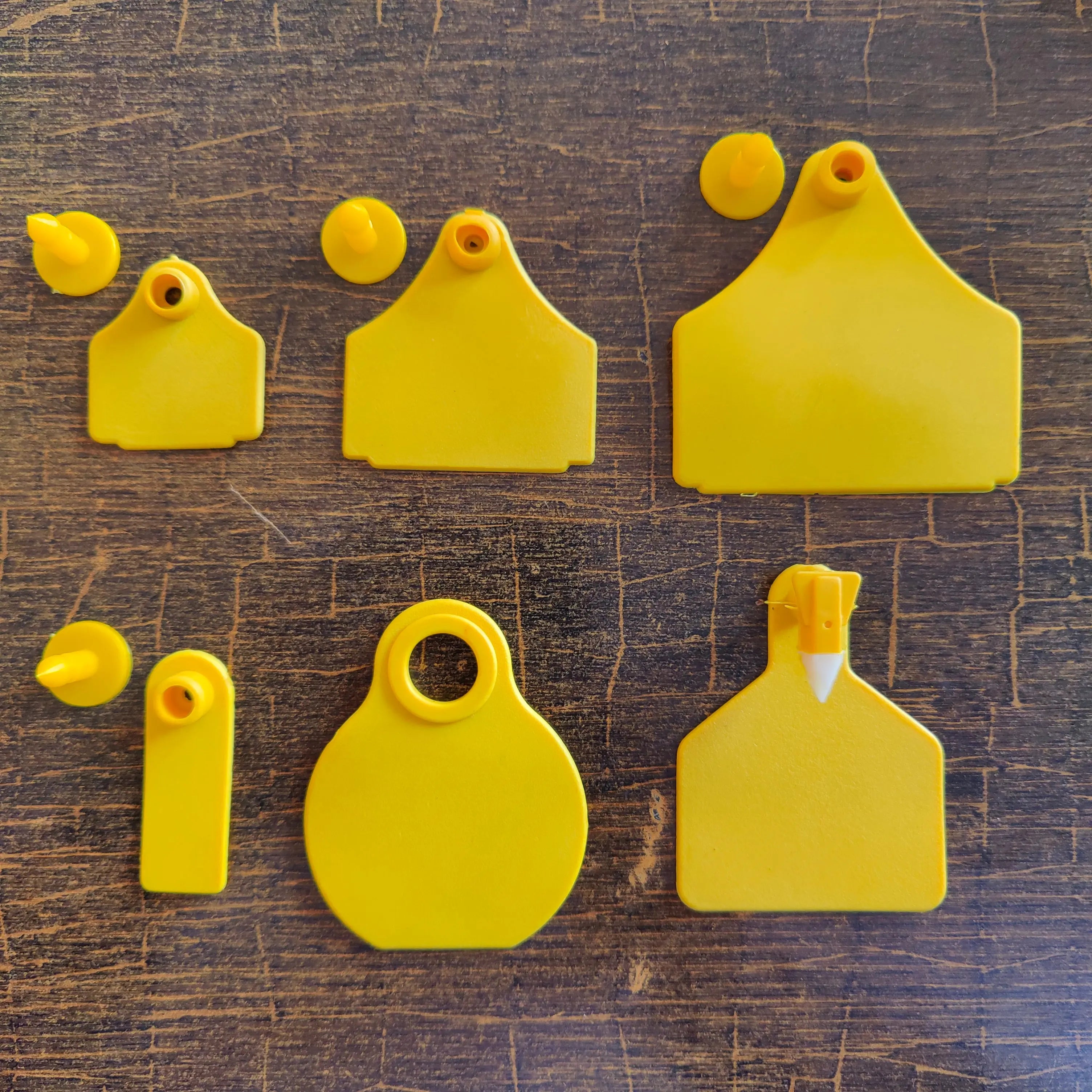 Animal Ear Tags large - Kissan Mall