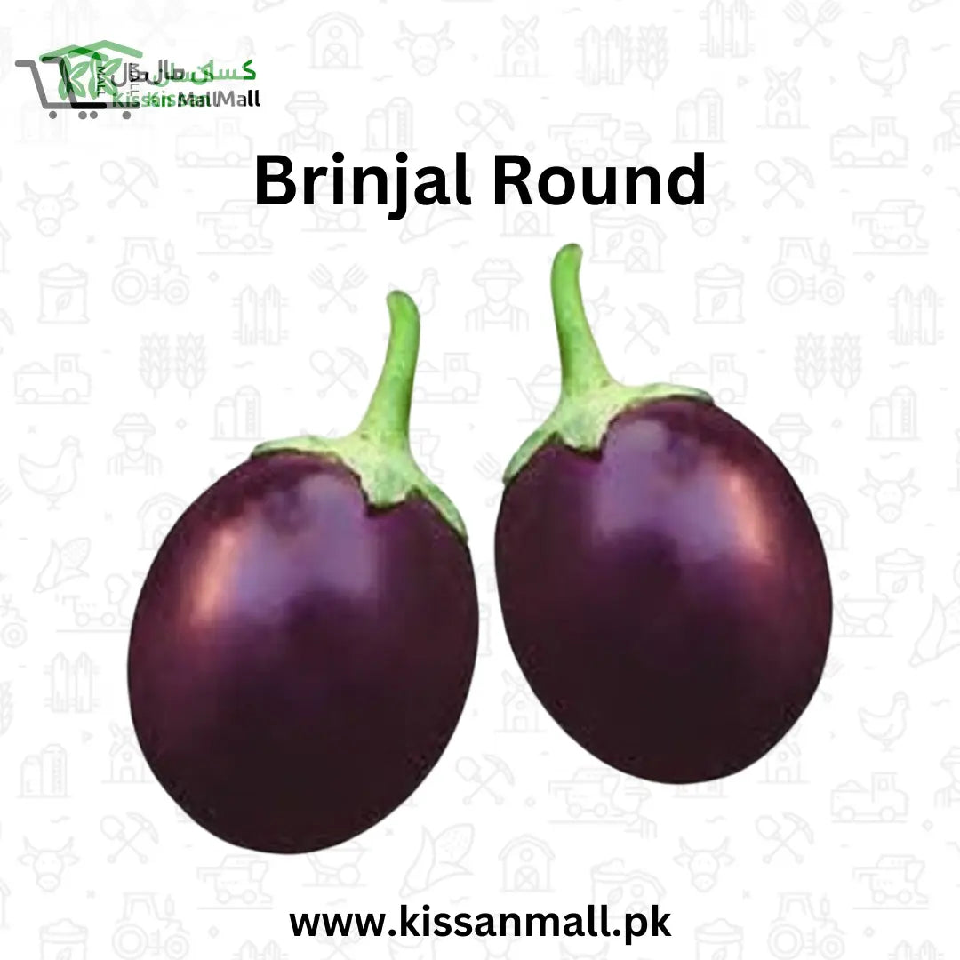 Bell Paper - Kissan Mall 