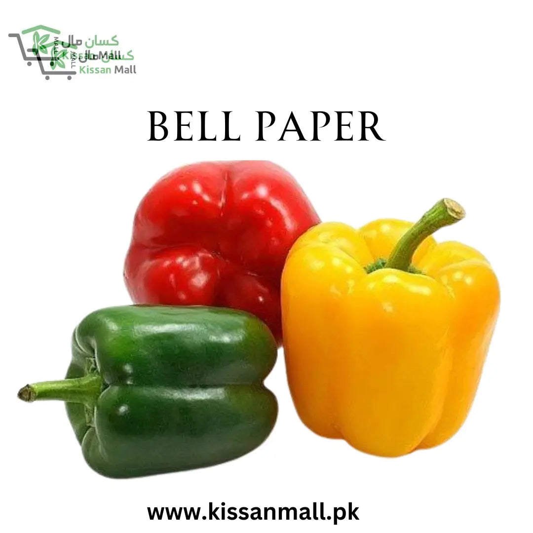 Bell Paper - Kissan Mall 