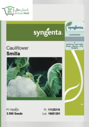 Cauliflower (Smilla-2500 seeds pack) - Kissan Mall 