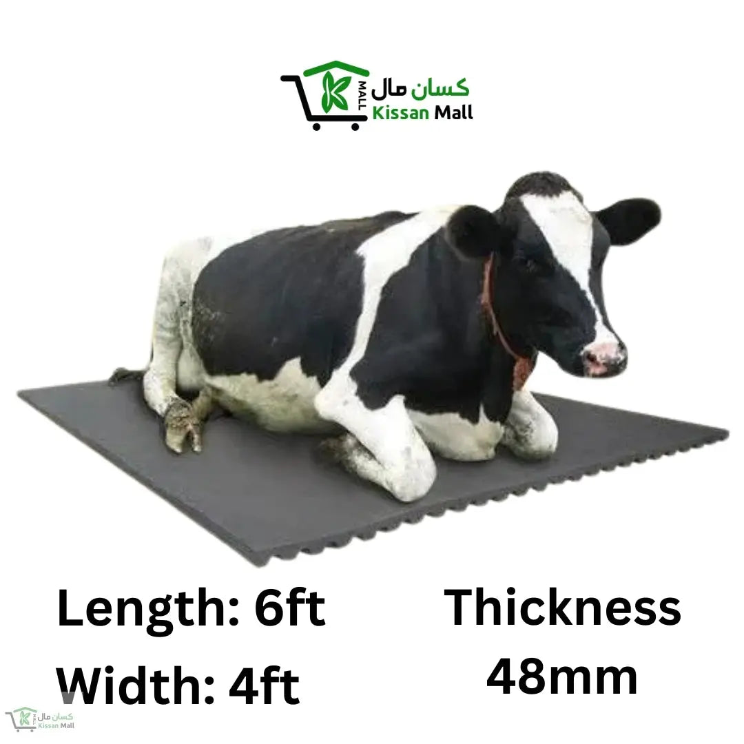 Cow Mat 48 mm, Length: 6ft Width: 4ft kissanmall.pk