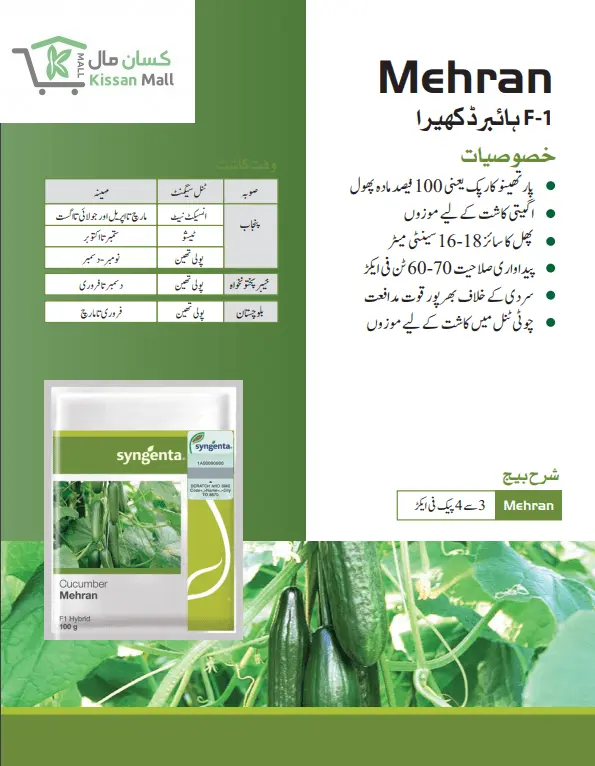 Cucumber-_Mehran-100g_-Syngenta-58882797_1200x1200.png?v=1740901495