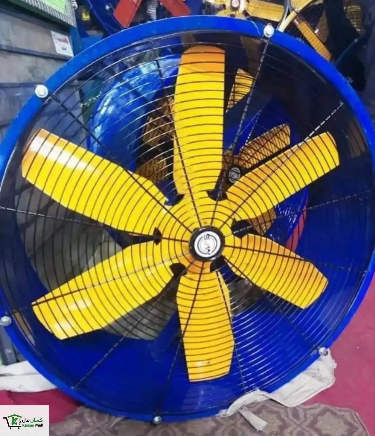 Dairy Fan 24inch Single Phase Kissan Mall