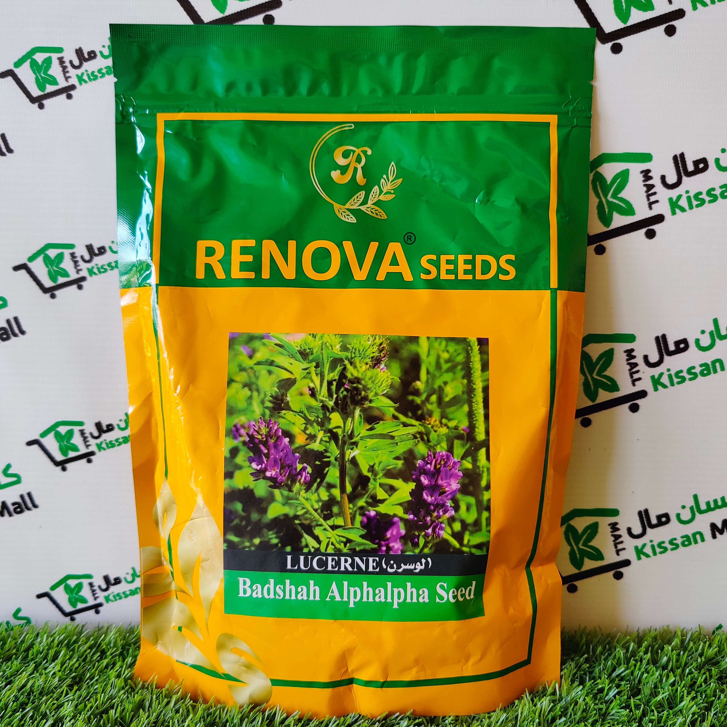 Renova Lucerne Badshah Alpha Alpha Seed - Kissan Mall 