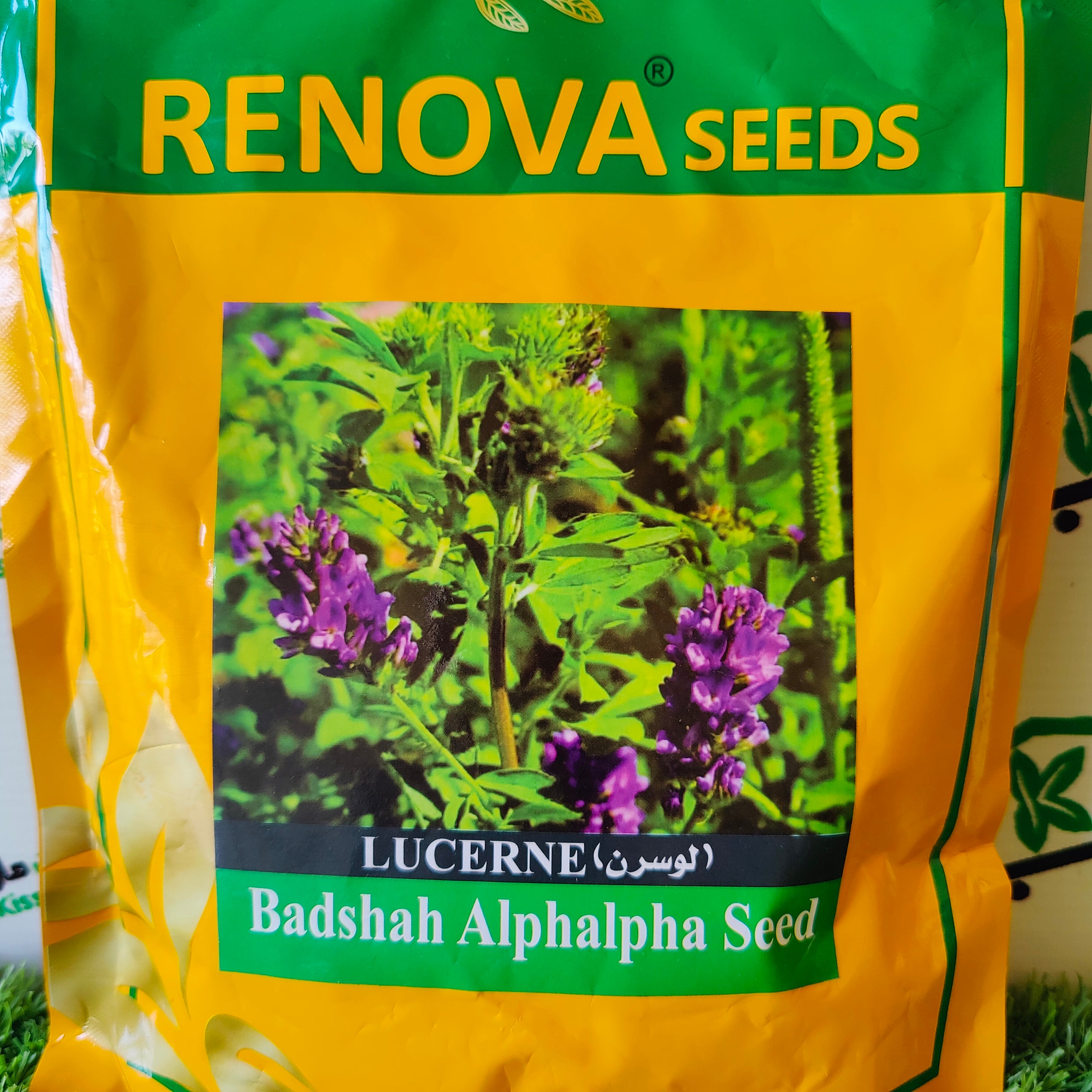 Renova Lucerne Badshah Alpha Alpha Seed - Kissan Mall 