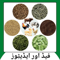 Kissan Mall