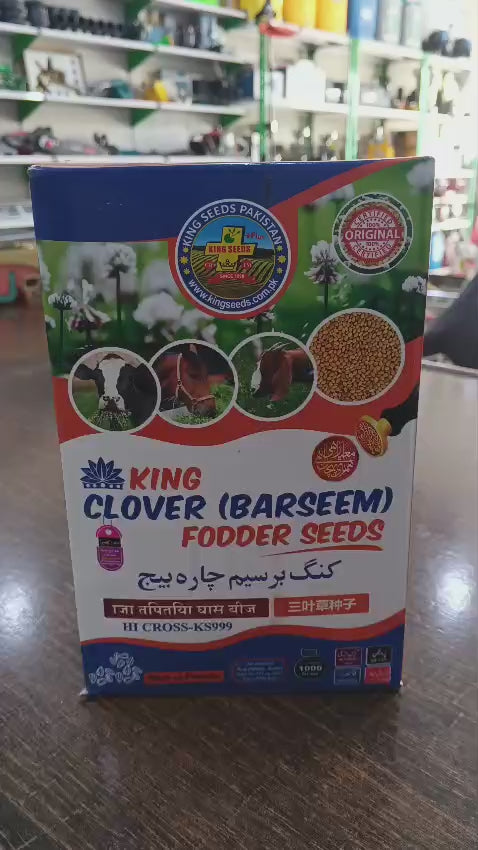 Kissan Mall