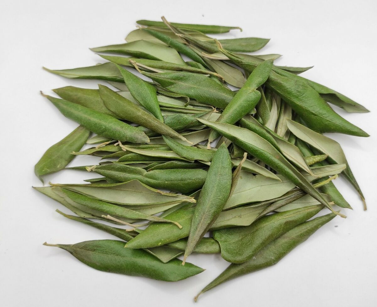 Organic Olive Leaves Tea 50 Grm