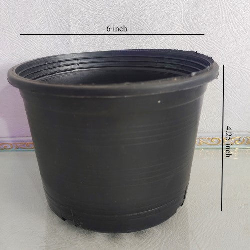 Black Plastic Pot 6 inches - kissanmall.pk