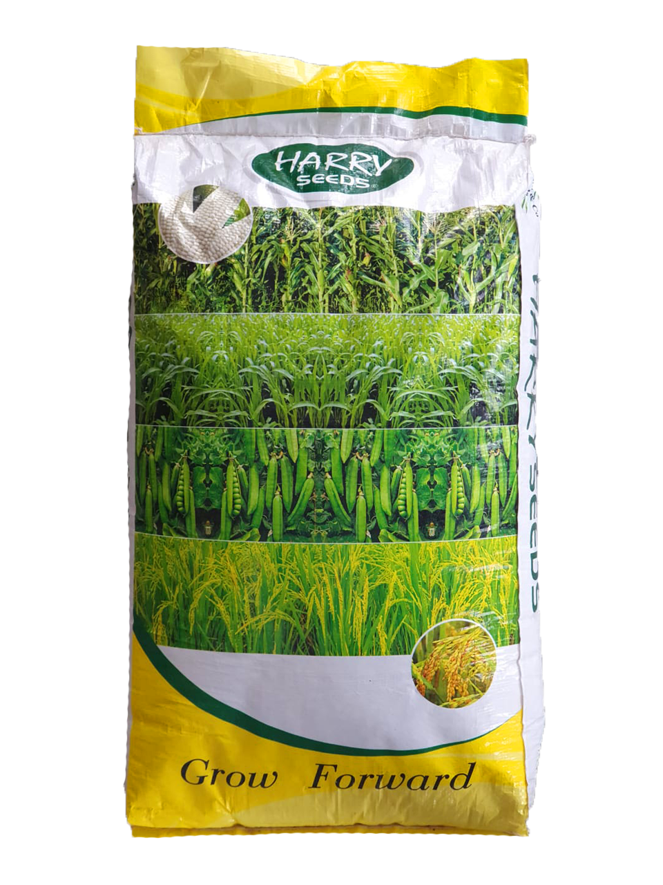 Maize Fodder - Sorghum Sudan Grass - kissanmall.pk