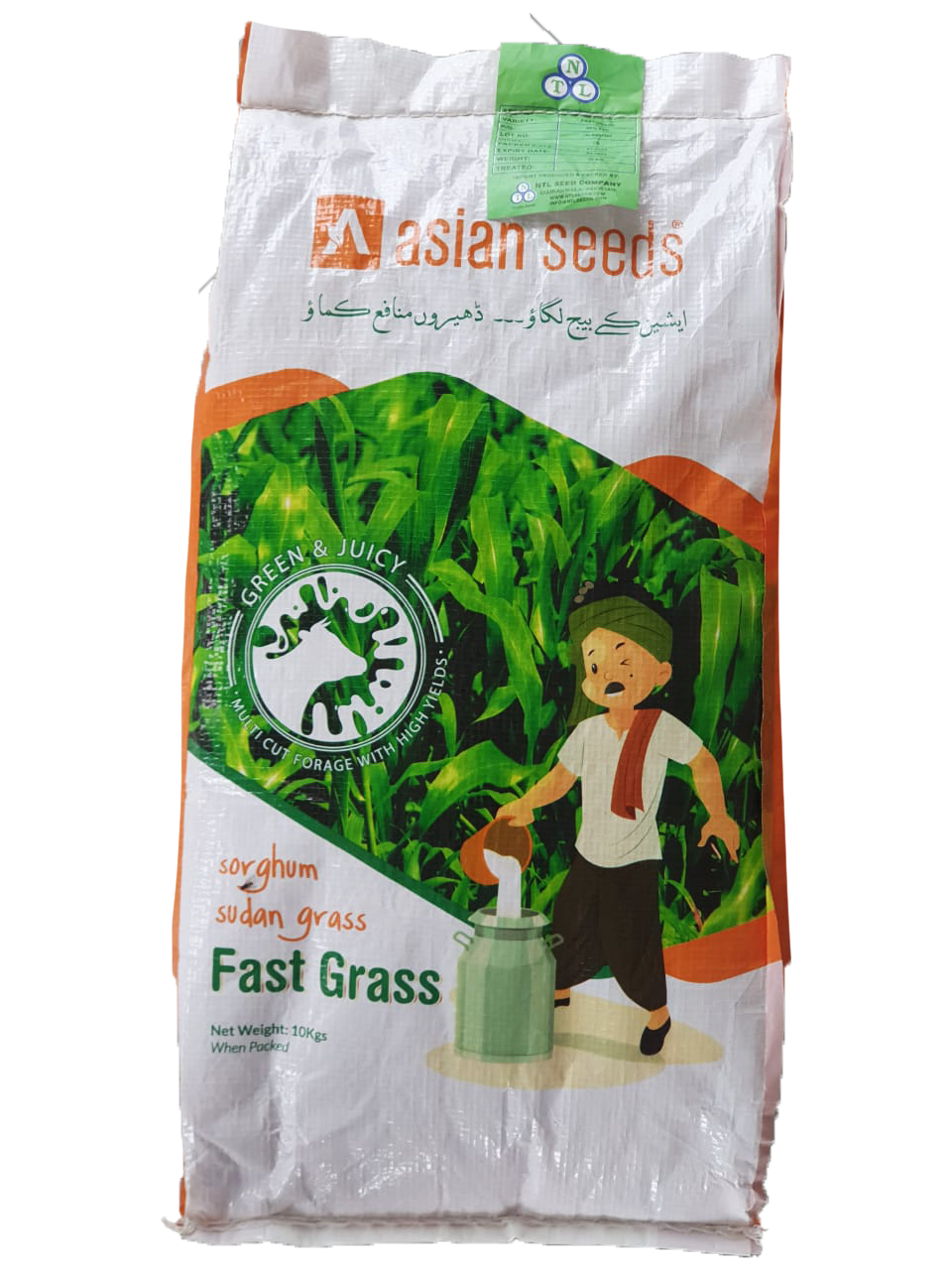Sorghum Sudan Grass - Fast Grass - kissanmall.pk