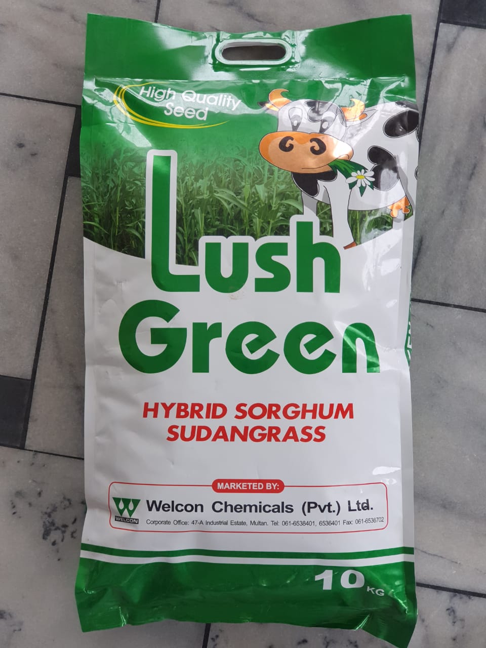 Hybrid Sorghum Sudan Grass-Lush Green - kissanmall.pk
